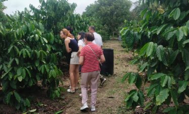 coffee plantation and bee farm in Bintan