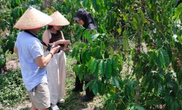coffee plantation and bee farm in Bintan Bintan coffee plantation tour Bintan bee farm experience coffee tasting Bintan honey farm Bintan eco tour Bintan things to do in Bintan nature Bintan agro tourism Bintan farm tour local experience Bintan