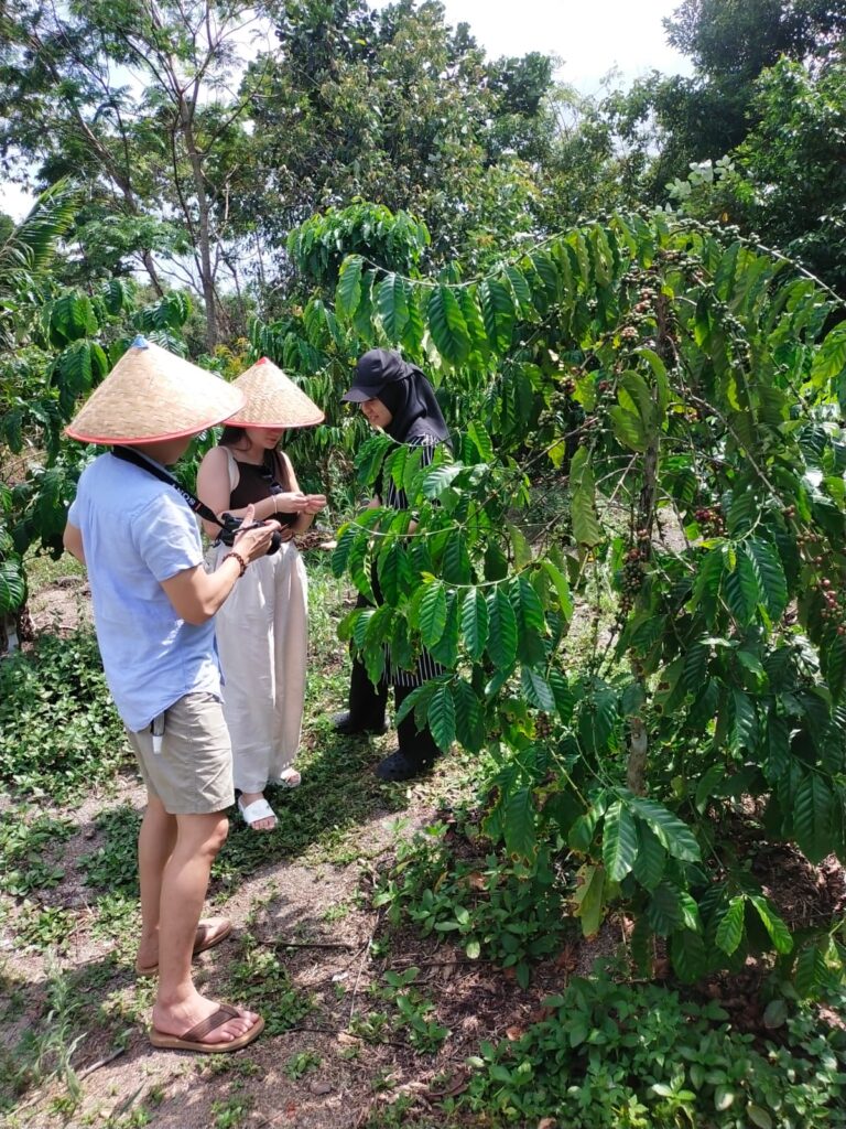 coffee plantation and bee farm in Bintan Bintan coffee plantation tour Bintan bee farm experience coffee tasting Bintan honey farm Bintan eco tour Bintan things to do in Bintan nature Bintan agro tourism Bintan farm tour local experience Bintan
