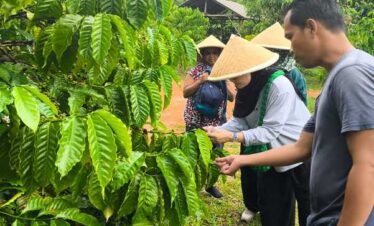 coffee plantation and bee farm in Bintan Bintan coffee plantation tour Bintan bee farm experience coffee tasting Bintan honey farm Bintan eco tour Bintan things to do in Bintan nature Bintan agro tourism Bintan farm tour local experience Bintan