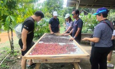 coffee plantation and bee farm in Bintan Bintan coffee plantation tour Bintan bee farm experience coffee tasting Bintan honey farm Bintan eco tour Bintan things to do in Bintan nature Bintan agro tourism Bintan farm tour local experience Bintan
