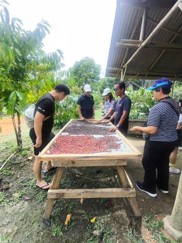 coffee plantation and bee farm in Bintan Bintan coffee plantation tour Bintan bee farm experience coffee tasting Bintan honey farm Bintan eco tour Bintan things to do in Bintan nature Bintan agro tourism Bintan farm tour local experience Bintan