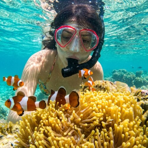Snorkeling Bintan