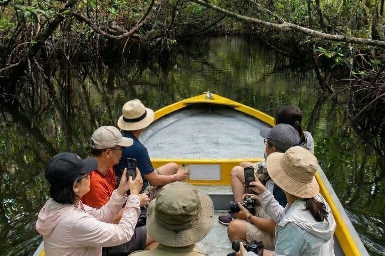 Bintan Mangrove Tour: Discover Island’s Hidden Natural Wonder